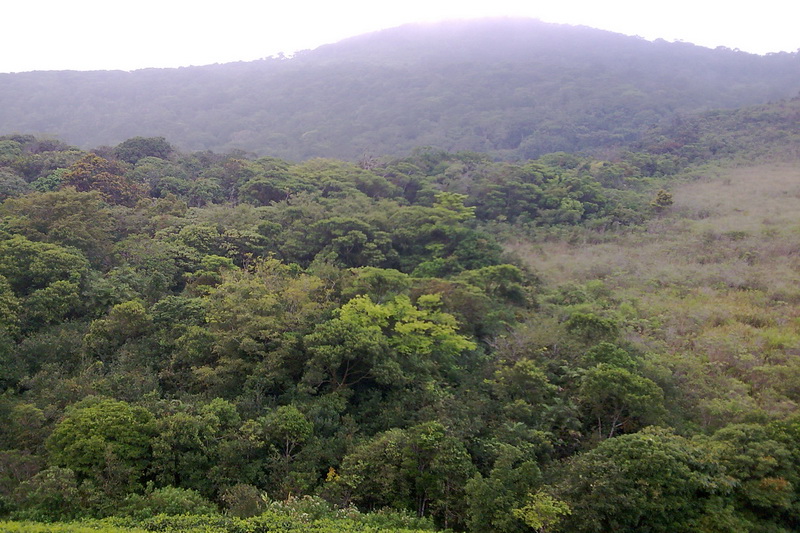 Sri Lanka, Sinharaja